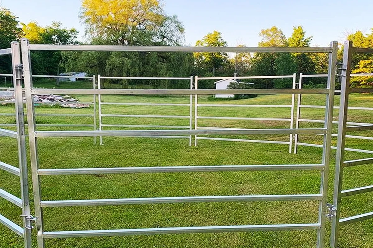 Dipped Galvanized Corral Panels for sale